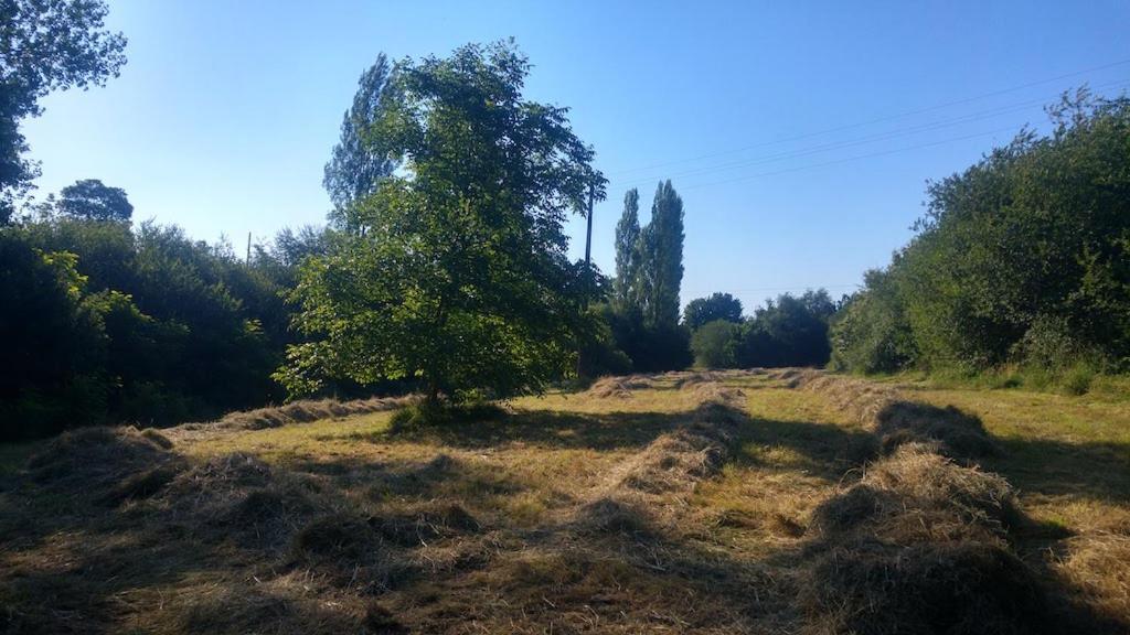 L'Angeberdiere Saint-Mars-sur-la-Futaie Bagian luar foto