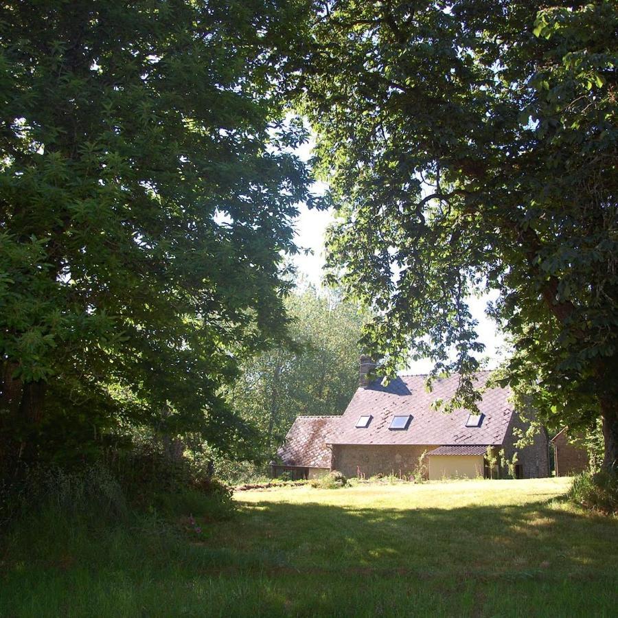 L'Angeberdiere Saint-Mars-sur-la-Futaie Bagian luar foto